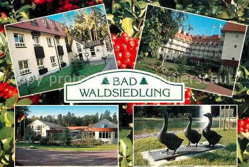 Wandlitz Bad Waldsiedlung Brandenburgklinik Entenskulptur Wandlitz