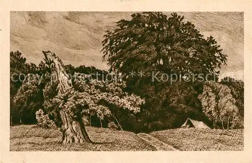 Werbellinsee Altenhof Der suesse Winkel Radierung Werbellinsee Altenhof