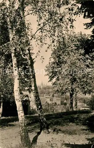 Werder_Havel Blick von der Wachtelburg auf Potsdamer Strasse und Insel Werder Havel