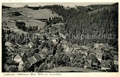 Wildemann Panorama Innerstetal Wildemann