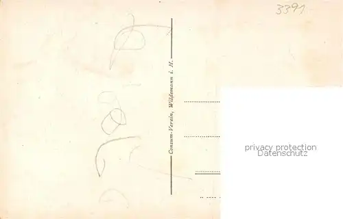 Wildemann Panorama Wildemann