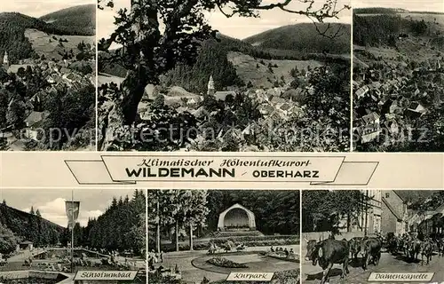Wildemann Schwimmbad Kurpark Dameskapelle Panorama Wildemann