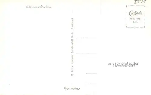 Wildemann Winter Panorama Wildemann