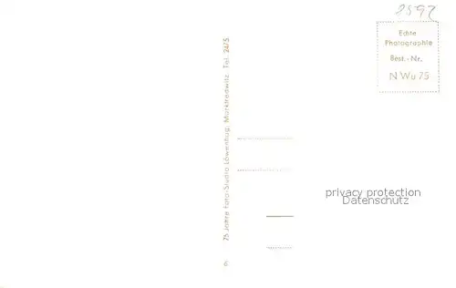 Wunsiedel Panorama Stadt der vielen Brunnen Details Wunsiedel