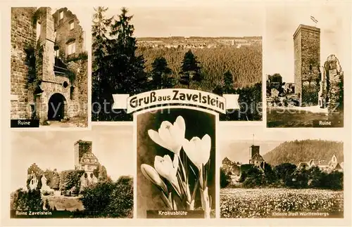 Zavelstein Ruine Burg Zavelstein Krokusbluete Landschaftspanorama Zavelstein