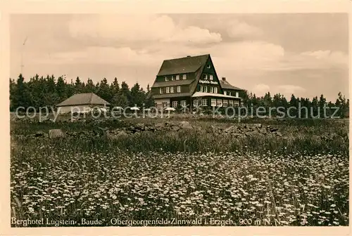 Zinnwald Georgenfeld Berghotel Lugstein Baude Georgenfelder Hochmoor Blumenwiese Zinnwald Georgenfeld