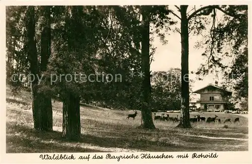 AK / Ansichtskarte Potsdam Historische Gaststaette Waldblick Bayrisches Haeuschen mit Rotwild Potsdam