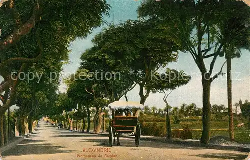 AK / Ansichtskarte Alexandria_Alexandrie_Aegypten Strasse nach Ramleh Alexandria_Alexandrie
