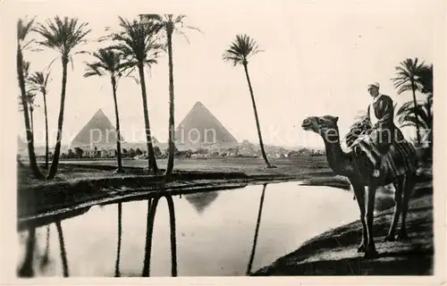 AK / Ansichtskarte Gizeh Pyramiden Kamel Oase Gizeh