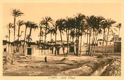 AK / Ansichtskarte Cairo_Egypt Dorf Panorama Palmen Cairo Egypt