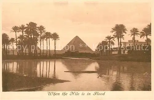 AK / Ansichtskarte Gizeh Pyramide Nilueberschwemmung Palmn Gizeh