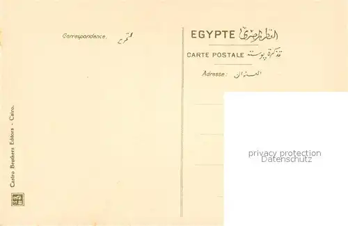 AK / Ansichtskarte Gizeh Pyramide Nilueberschwemmung Palmn Gizeh