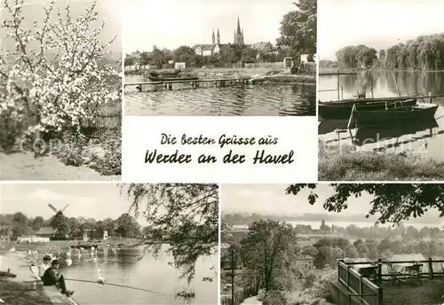 AK / Ansichtskarte Werder_Havel Baumbluete Partie an der Havel Schwaene Landschaftspanorama Werder Havel