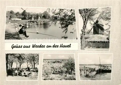 AK / Ansichtskarte Werder_Havel Partie an der Havel Schwaene Windmuehle Restaurant Terrasse Landschaftspanorama Werder Havel
