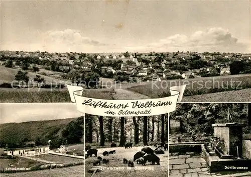 AK / Ansichtskarte Vielbrunn Panorama Schwimmbad Freibad Schwarzwild im Odenwald Dorfbrunnen Vielbrunn