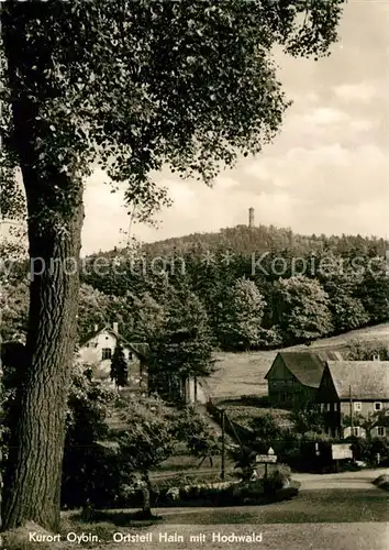 AK / Ansichtskarte Hain_Oybin Teilansicht mit Hochwald Zittauer Gebirge Hain_Oybin