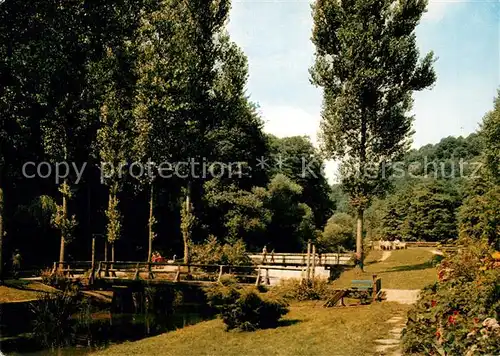 AK / Ansichtskarte Manderscheid_Eifel Hotel Cafe Heidsmuehle Partie der Gartenanlagen Manderscheid Eifel