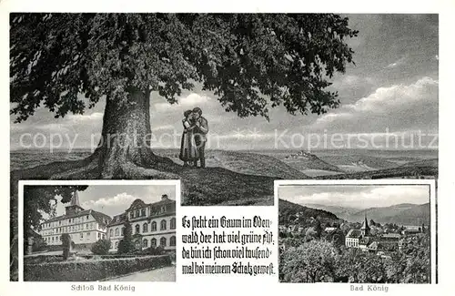 AK / Ansichtskarte Bad_Koenig_Odenwald Schloss Stadtpanorama Es steht ein Baum im Odenwald Gedicht Bad_Koenig_Odenwald