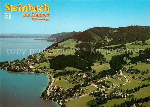 AK / Ansichtskarte Steinbach_Attersee Fliegeraufnahme Steinbach Attersee