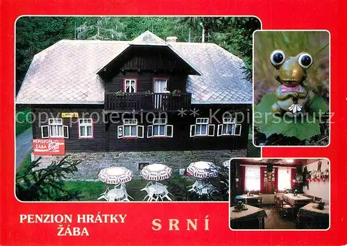 AK / Ansichtskarte Srni Penzion Hratky Zaba Srni