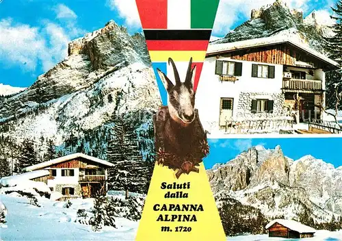 AK / Ansichtskarte San_Cassiano_Badia Rifugio Capanna Alpina Berghaus Dolomiten Gemse San_Cassiano_Badia