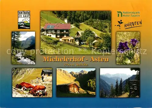 AK / Ansichtskarte Moertschach Michelerhof Teilansichten Panorama Moertschach