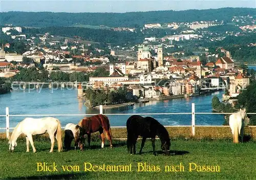 AK / Ansichtskarte Haibach_Donau Cafe Restaurant Blaas Blick nach Passau Haibach Donau