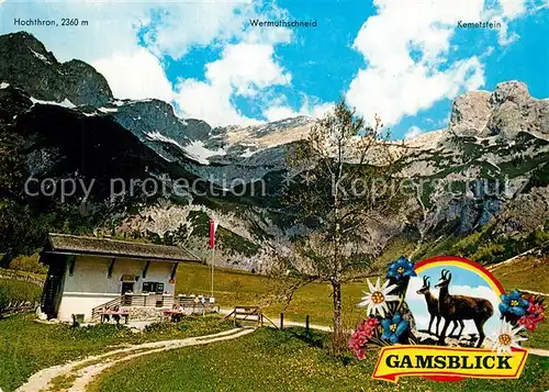 AK / Ansichtskarte Werfenweng Berggasthaus Gamsblick Tennengebirge Alpenflora Werfenweng
