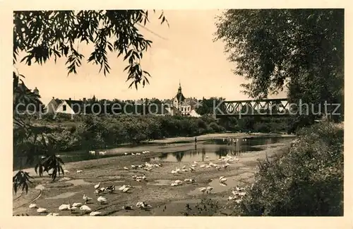 AK / Ansichtskarte Pohorelice Eiserne Bruecke mit Rathaus Pohorelice