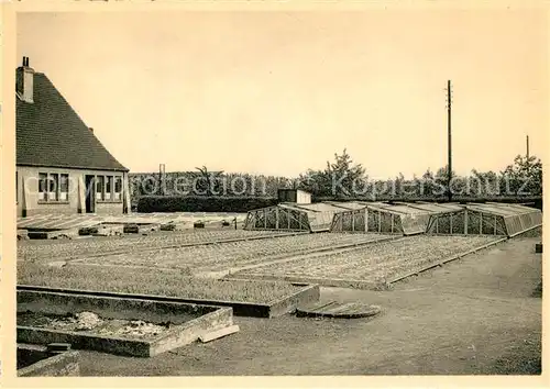 AK / Ansichtskarte Vilvoorde Rijkstuinbouwschool Afdeling Groenteteelt Broelkassen en verrolbare bakken Vilvoorde