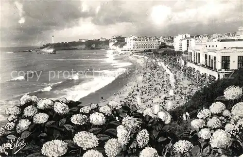 AK / Ansichtskarte Biarritz_Pyrenees_Atlantiques Hortensies Grande Plage Biarritz_Pyrenees