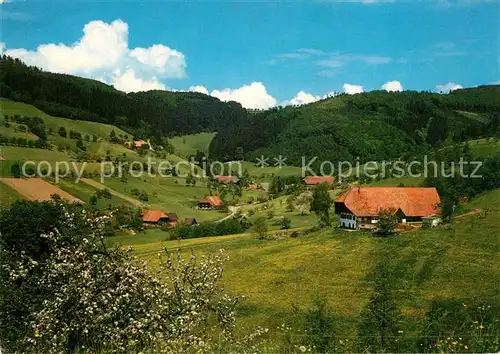 AK / Ansichtskarte Oberentersbach Panorama Oberentersbach