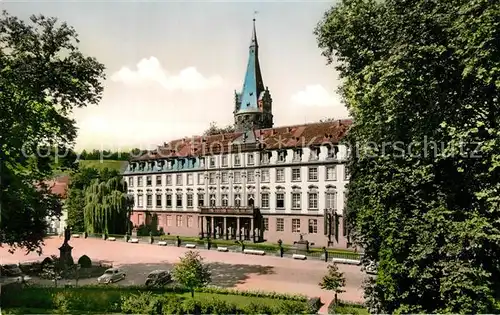 AK / Ansichtskarte Erbach_Odenwald Schloss Erbach Odenwald