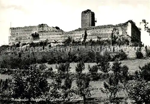 AK / Ansichtskarte Montecchio_Maggiore Castello di Giulietta Burgruine Montecchio Maggiore