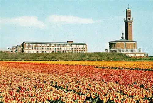 AK / Ansichtskarte Noordwijkerhout Leeuwenhorst Tulpenbeet Noordwijkerhout