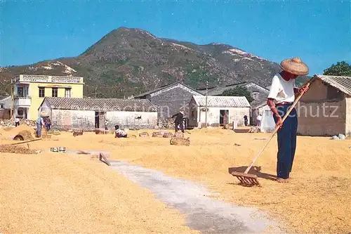 AK / Ansichtskarte China Farmers Chinese dry the brown rice China