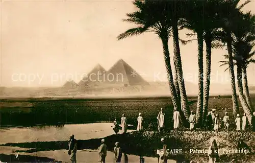 AK / Ansichtskarte Cairo_Egypt Palmen Pyramiden Cairo Egypt