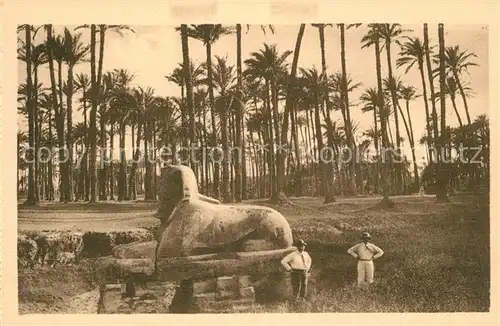AK / Ansichtskarte Memphis_Aegypten Sphinx Albatre Memphis Aegypten