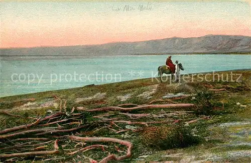 AK / Ansichtskarte Totes_Meer Ufer Panorama Totes_Meer