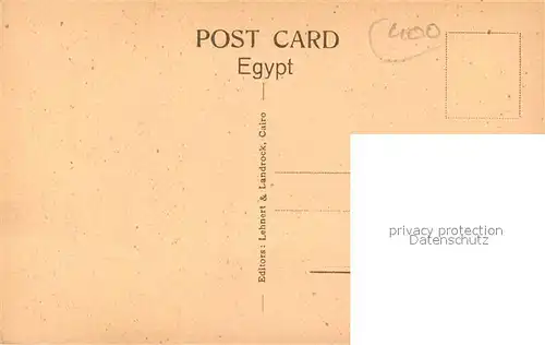 AK / Ansichtskarte Cairo_Egypt Feld pfluegen Ochsengespann Pyramide Cairo Egypt