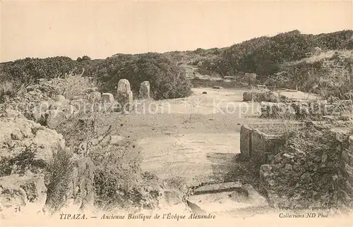 AK / Ansichtskarte Tipaza Ruinen Basilique Eveque Alexandrie Tipaza