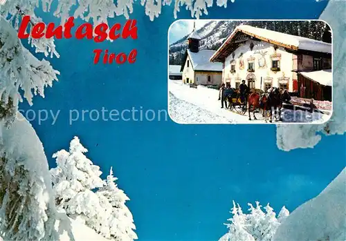 AK / Ansichtskarte Leutasch Pferdeschlitten  Leutasch