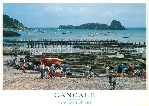 AK / Ansichtskarte Cancale Les parcs a huitres Austernbaenke Cancale