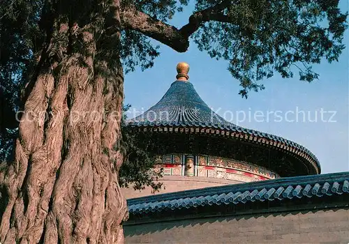 AK / Ansichtskarte Peking Corner of Tiantan Park Temple of Heaven Himmelstempel Peking