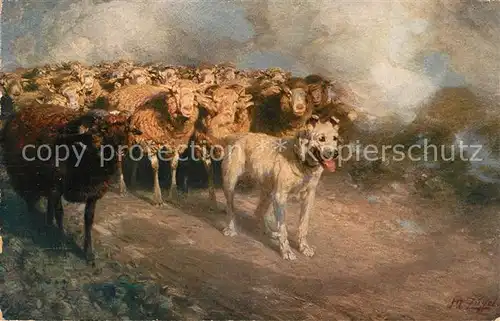 AK / Ansichtskarte K?nstlerkarte W. v. Z?gel Hund Schafe Verlag Seemann Nr. 32 
