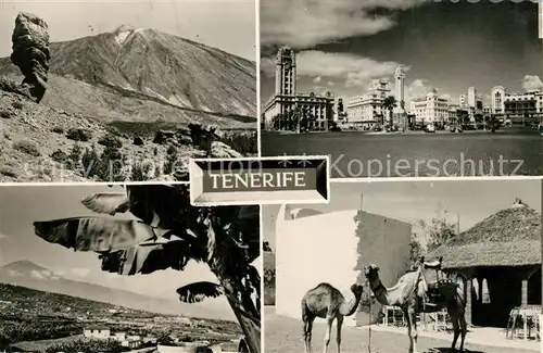 AK / Ansichtskarte Tenerife Teilansichten Kamele Tenerife