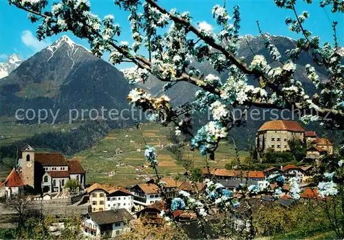 AK / Ansichtskarte Schenna_Meran Panorama Schenna Meran