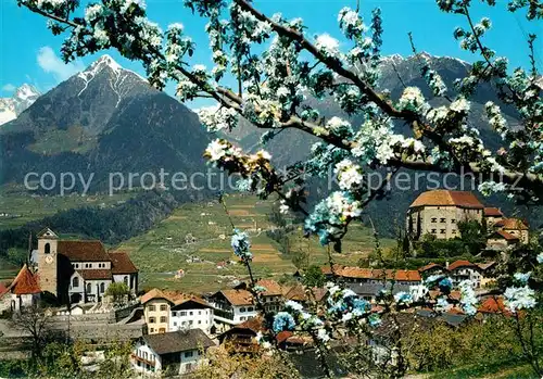 AK / Ansichtskarte Schenna_Meran Panorama Schenna Meran