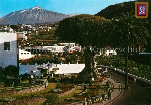 AK / Ansichtskarte Icod_de_los_Vinos El Drago Milenario Icod_de_los_Vinos