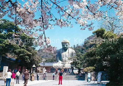 AK / Ansichtskarte Kamakura The Great Buddha in the Time of Cherry Bloom Kamakura